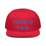 Snapback Hat "1054-0031 U.S.A. (Blue Logo)" - JCBTGlobal